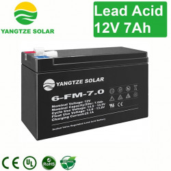Batería Yangtze 12V 7AH