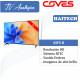 TV 43" (con sintonizador analógico) Haitech
