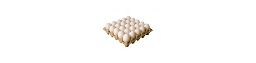 Alimentos Frescos